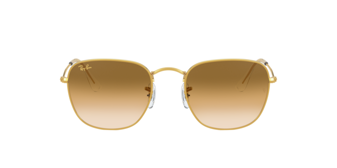Ray Ban RB3857 919651 Frank 